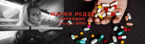 ГАЛЛЮЦИНОГЕННЫЕ ГРИБЫ Беломорск