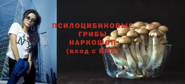 ГАЛЛЮЦИНОГЕННЫЕ ГРИБЫ Беломорск
