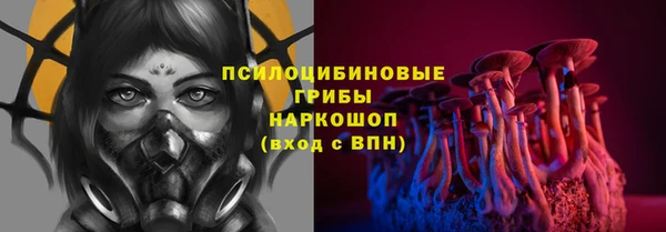 ГАЛЛЮЦИНОГЕННЫЕ ГРИБЫ Беломорск